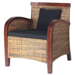 VidaXL Fauteuil Handgeweven Rattan