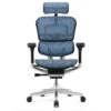 COMFORT Bureaustoel Ergohuman Classic (met Hoofdsteun) - Blauw