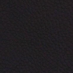 VidaXL Eetkamerstoelen 2 St Kunstleer Zwart -Relax Verkoop 1000057821 0102